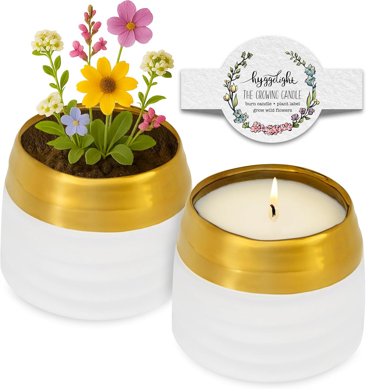 The Growing Candle — Mint & Eucalyptus