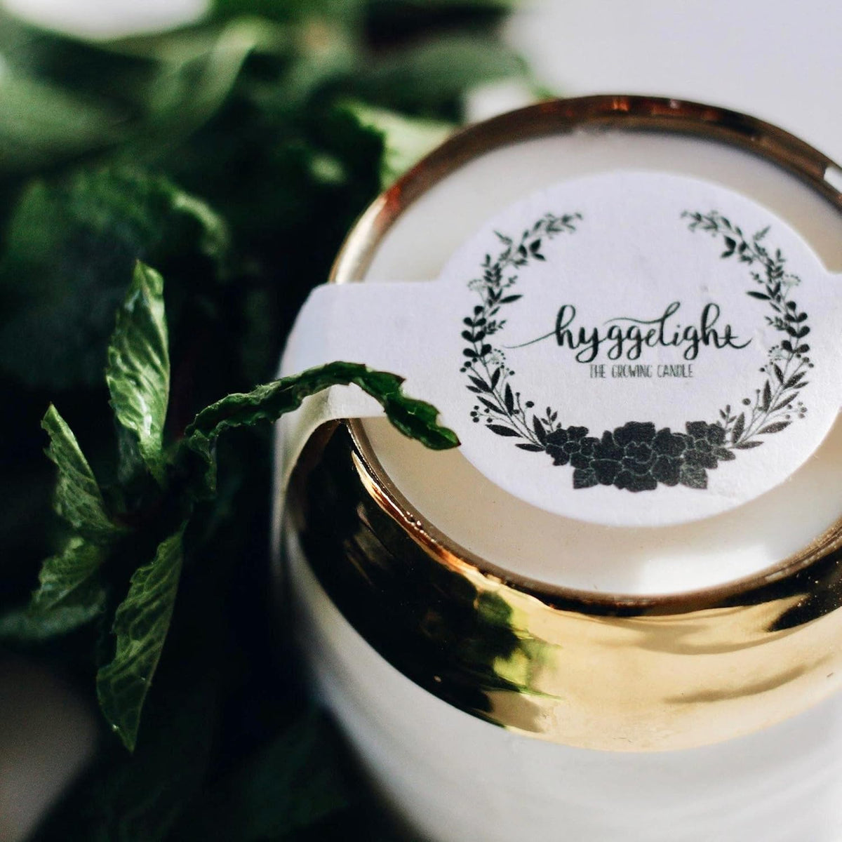 The Growing Candle — Mint & Eucalyptus